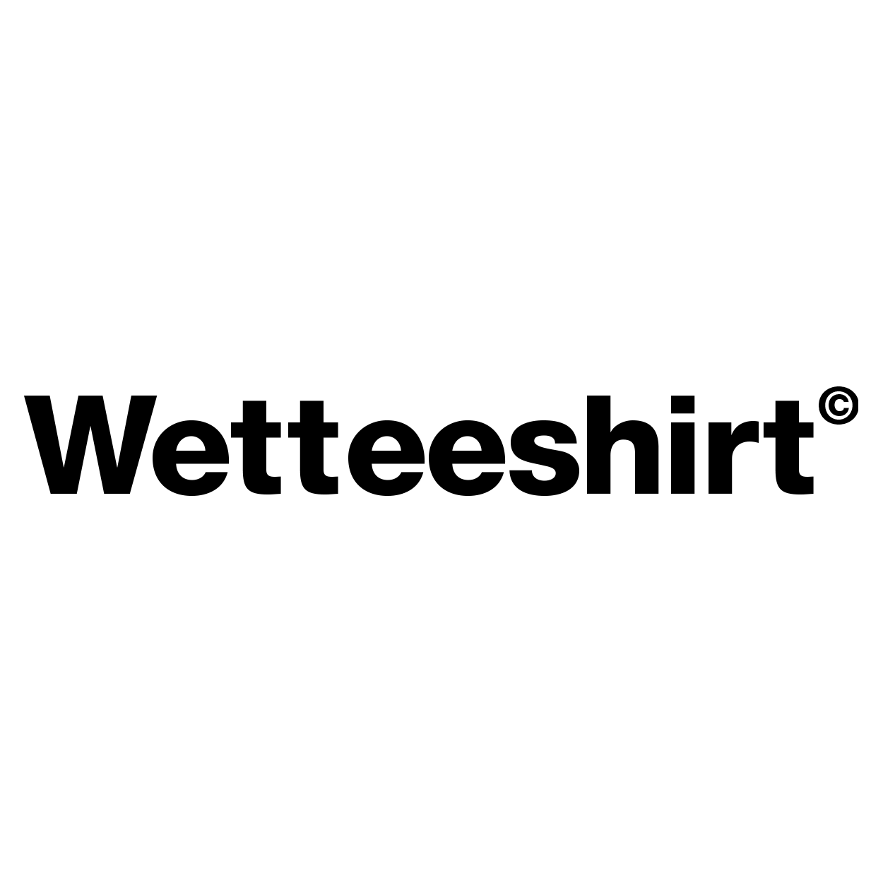 WETTEESHIRTLOGO Large Invert